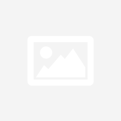 RONIN Party Booster Wireless Speakers Silver - Grey R-4500